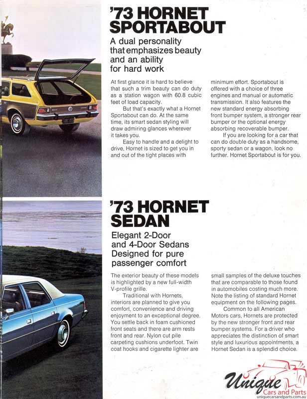 1973 American Motors Brochure Page 24